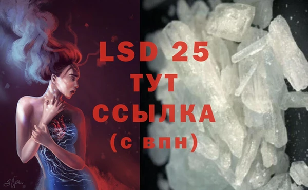 стафф Алзамай