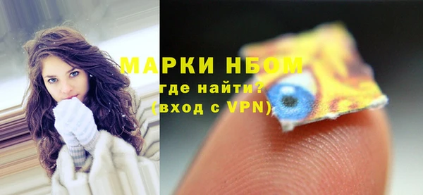 стафф Алзамай
