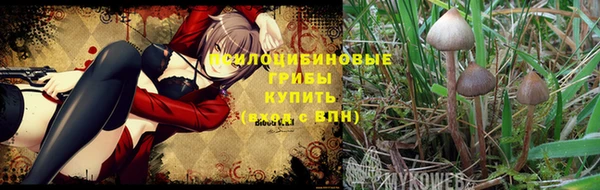 крисы Алексин