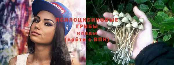 крисы Алексин